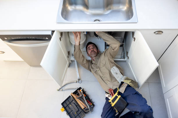 Best Affordable Plumbing Services  in Kalamazoo, MI