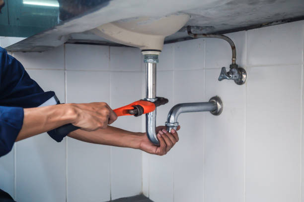 Best Commercial Plumbing Services  in Kalamazoo, MI